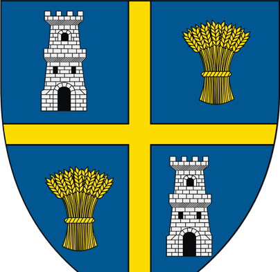 Primăria Ștefan cel Mare, Olt